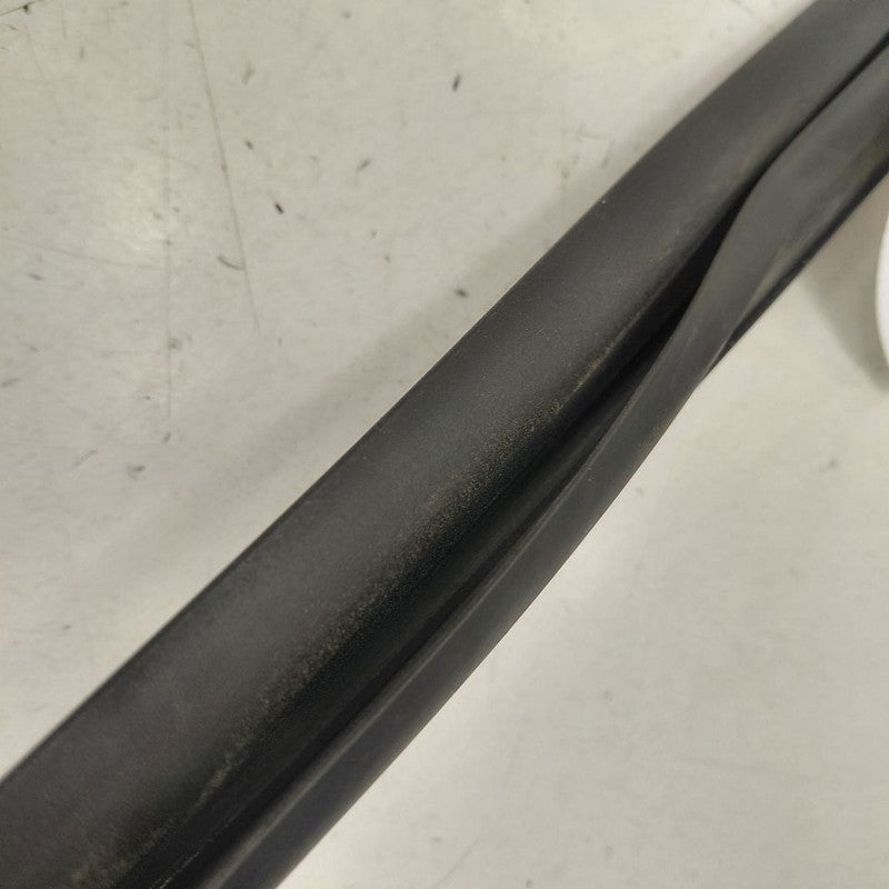 Chevy Volt Door Glass Window Seal Rubber Left Driver Front  2016 2017 