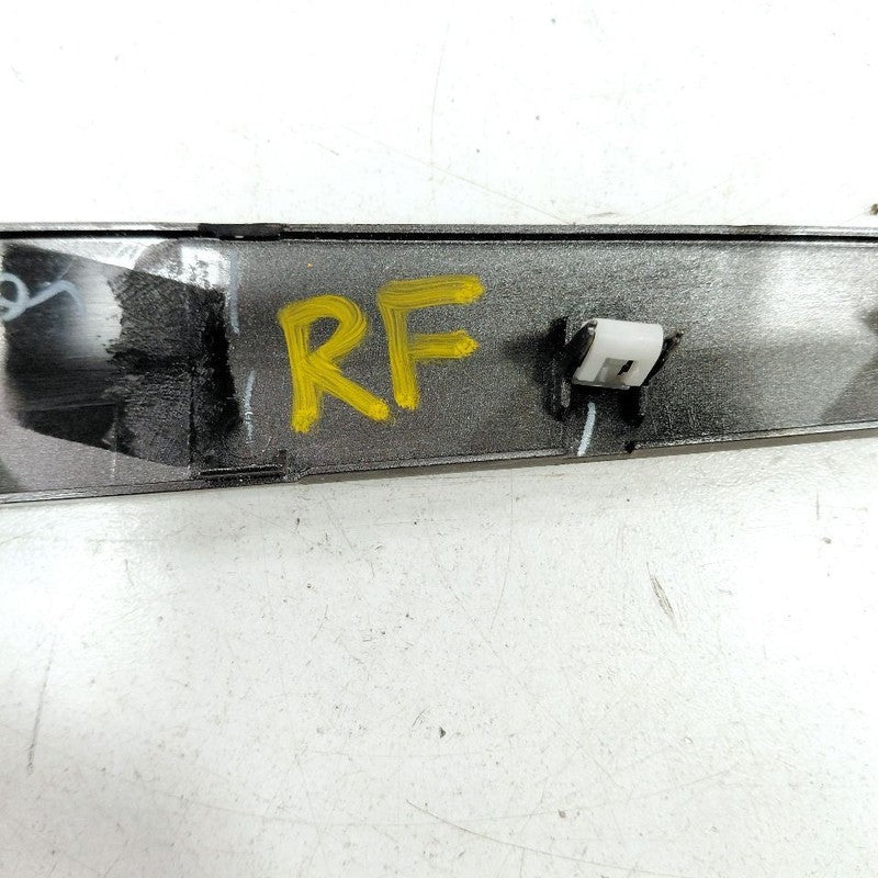 Ford Ecosport Passenger Right Front Door Molding {GN15A24184} 2018 201