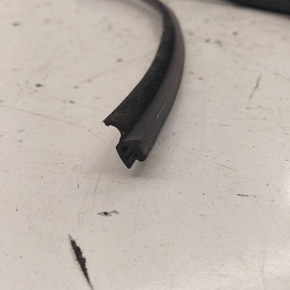 Ford Edge Door Glass Window Seal Rubber Left Driver Rear Back  2019 20