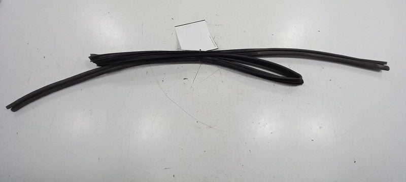 Subaru Forester Door Glass Window Seal Rubber Right Passenger Rear Bac