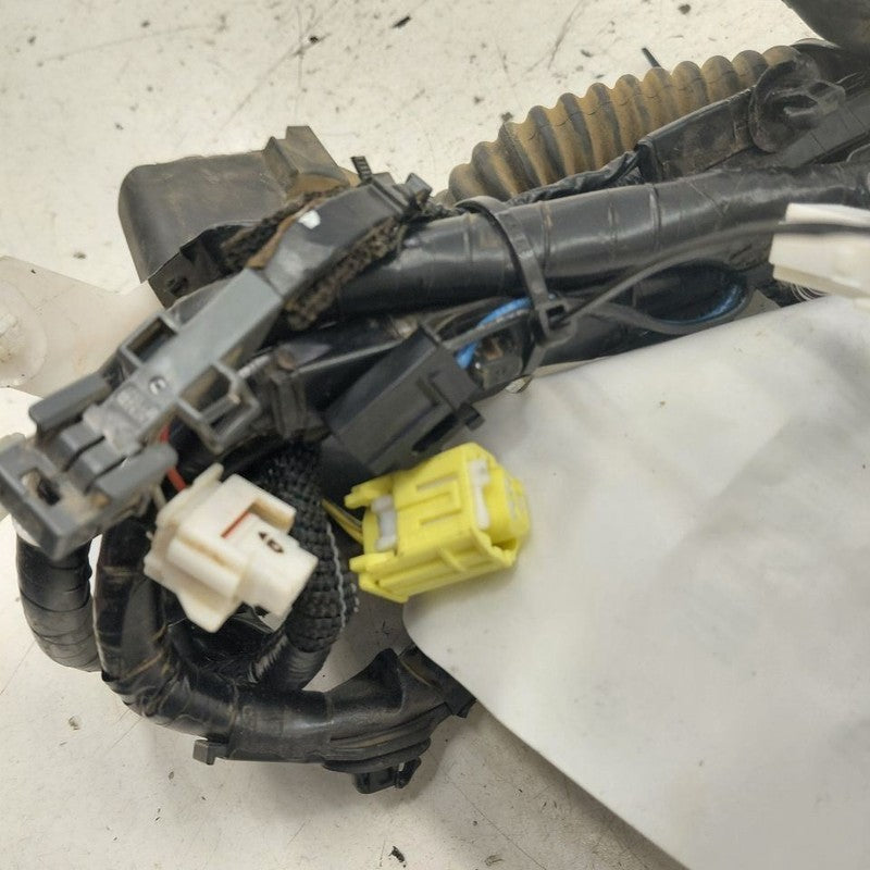 Lexus IS350 Door Harness Wire Wiring Right Passenger Front  2020 2019 