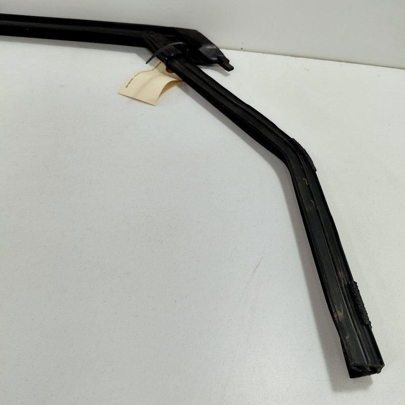 Ford Edge Door Glass Window Seal Rubber Right Passenger Rear Back 2019