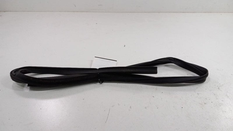 Dodge Journey Door Glass Window Seal Rubber Right Passenger Front 2012