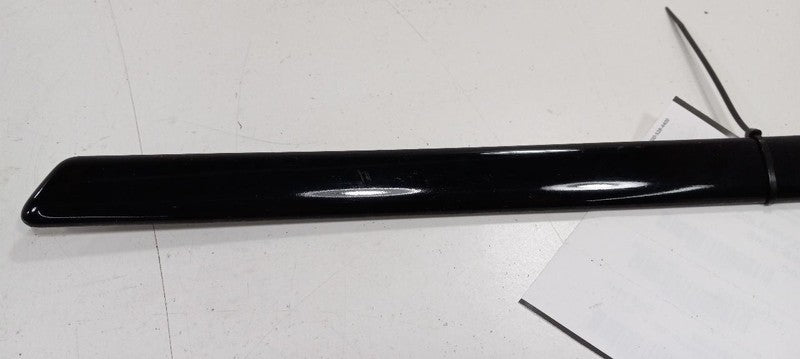 Volkswagen Jetta Door Molding Trim Strip Left Side Rear Back 2003 2002