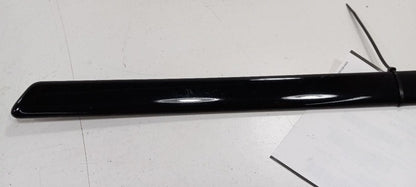 Volkswagen Jetta Door Molding Trim Strip Left Side Rear Back 2003 2002