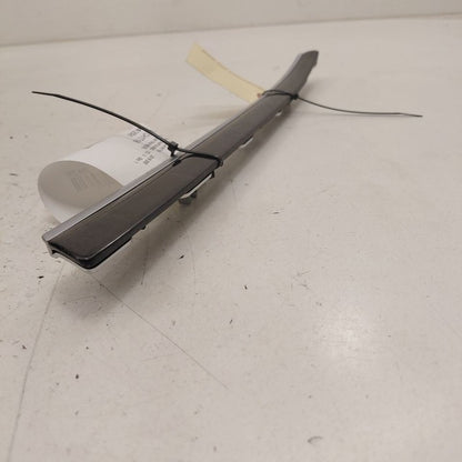 Chrysler 300 Driver Left Front Door Trim Bezel 2017 2018 2019