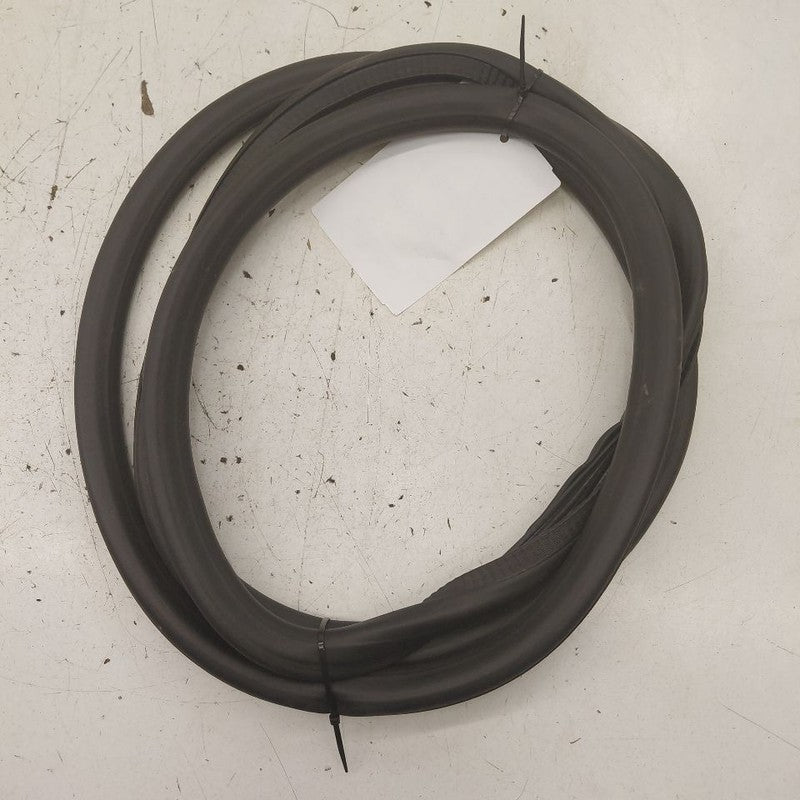 Chevy Equinox On Body Door Jamb Seal Rear Left Driver Back  2024 2023 