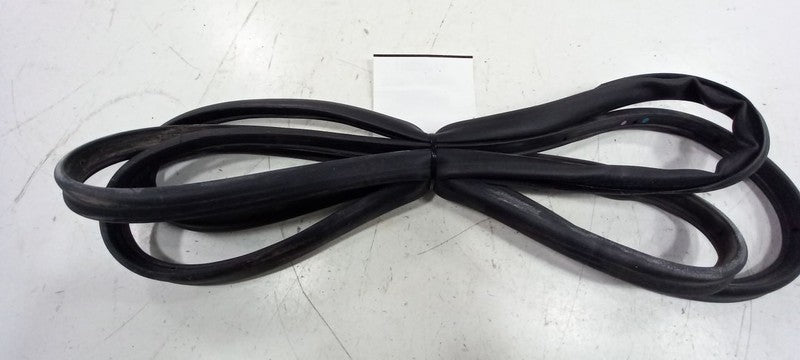 Buick LaCrosse On Door Seal Rubber Right Passenger Rear Back 2010 2011 2012 2013
