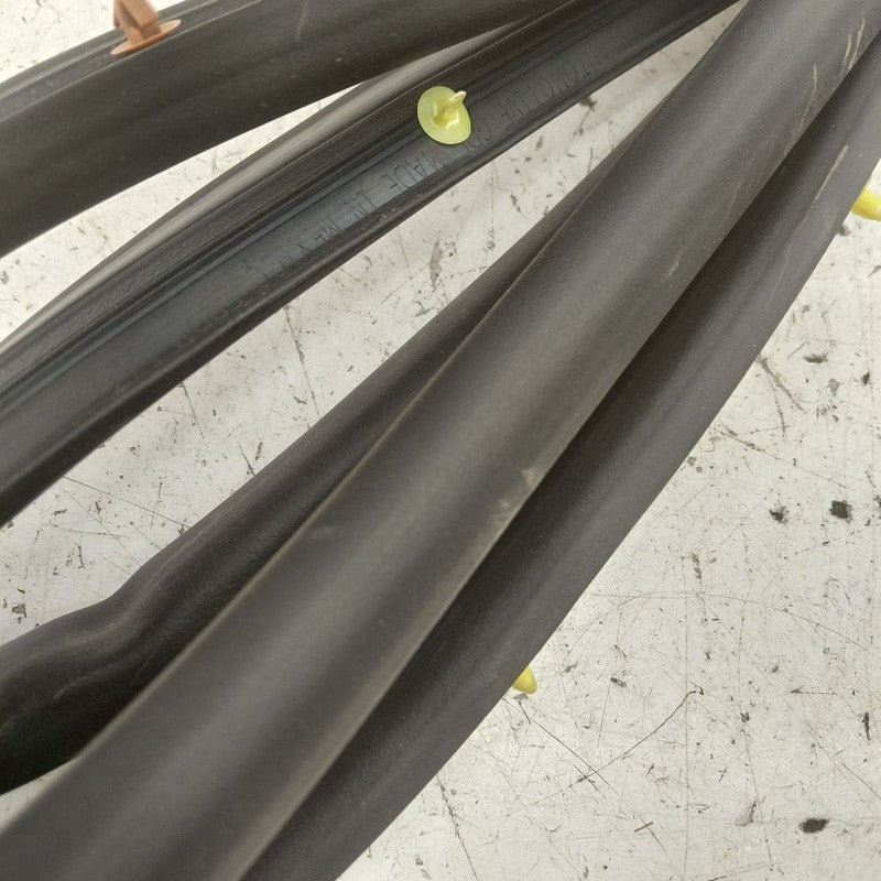 Chevy Equinox On Door Seal Rubber Left Driver Front  2024 2023 2022