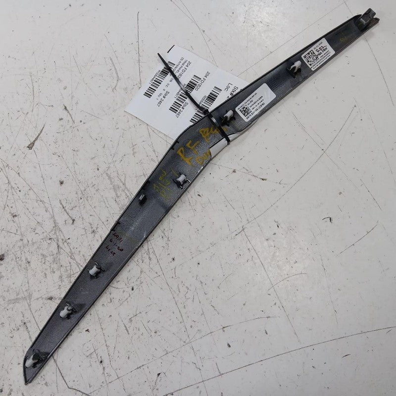 Ford Ecosport Passenger Right Front Trim 2018 2019 2020 2021 2022 OEM