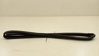 Chevy Cobalt Door Glass Window Seal Rubber Right Passenger Front 2006 