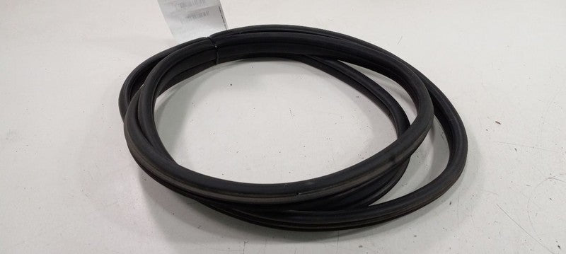 Mini Cooper Paceman On Body Door Jamb Seal Front Right Passenger 2013 