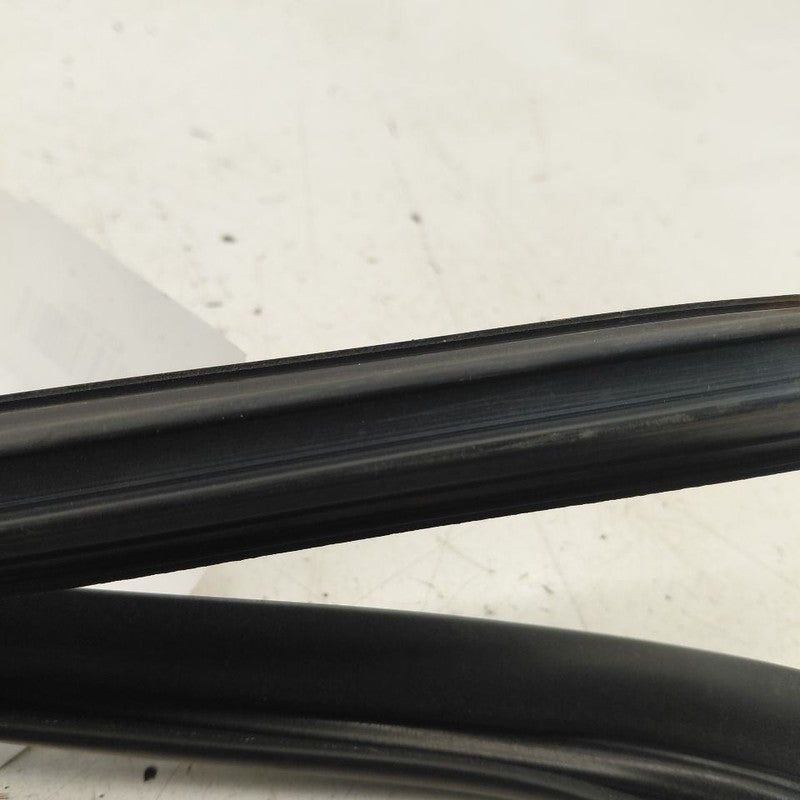 Hyundai Veloster Door Glass Window Seal Rubber Left Driver Front  2017