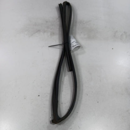 Honda Civic Door Glass Window Seal Rubber Left Driver Front  2018 2017 2016