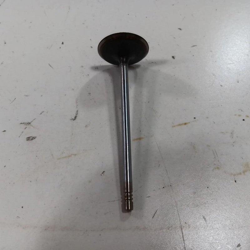 Jeep Compass 2.4 Cylinder Head Intake Valve 2017 2018 2019 2020 2021 2