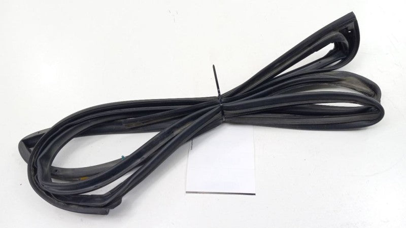 Hyundai Elantra On Door Seal Rubber Left Rear Back 2009 2010 2011 2012