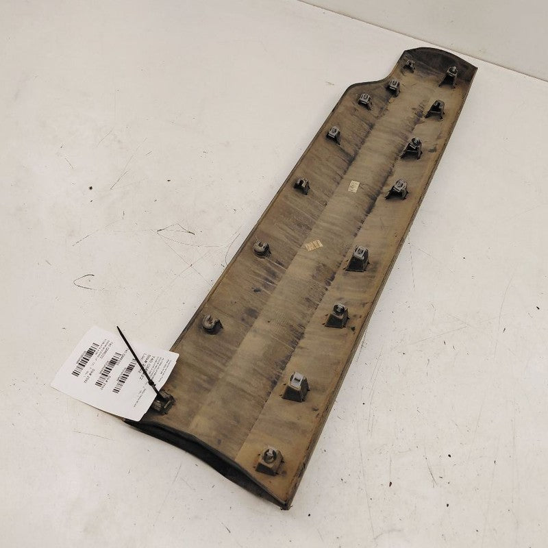 Chevy Trailblazer Door Molding Trim Strip Left Driver Front  2023 2022