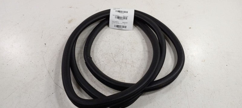 Dodge Dart On Body Door Jamb Seal Gasket Front Left Driver 2013 2014 2015 2016