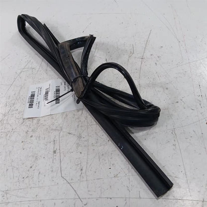Kia Forte Door Glass Window Seal Rubber Right Passenger Rear Back  201