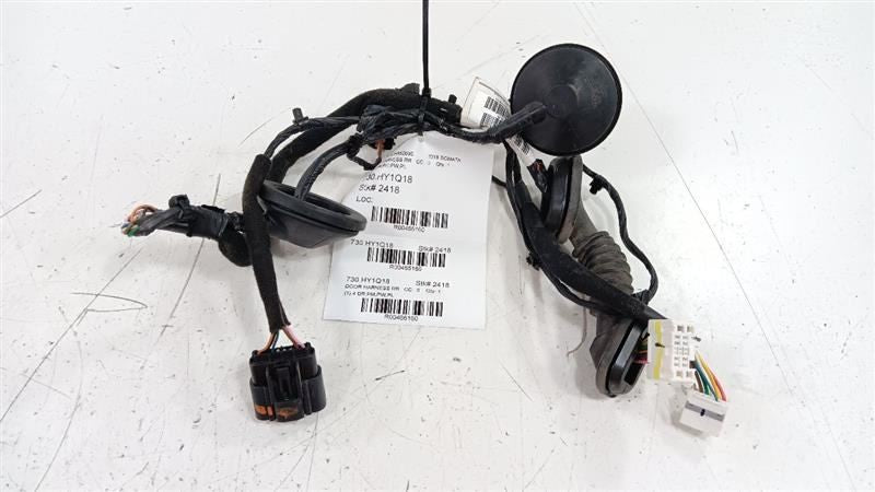 2018 Hyundai Sonata Door Harness Wire Wiring Right Passenger Rear