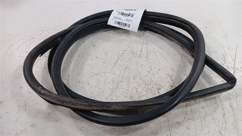 Toyota Scion IQ On Body Door Jamb Seal Gasket Front Left Driver  2011 