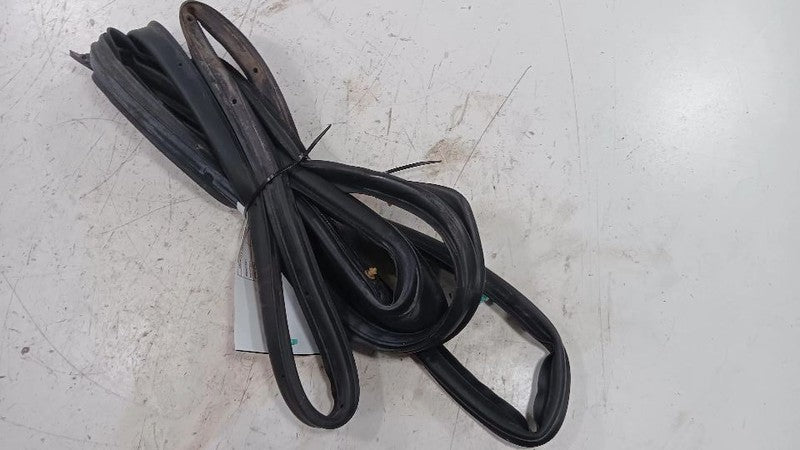 Buick Encore On Door Seal Rubber Left Rear Back  2013 2014 2015 2016 O