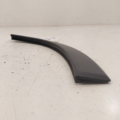 Honda HR-V Door Molding Trim Strip Right Passenger Side Rear Back 2026