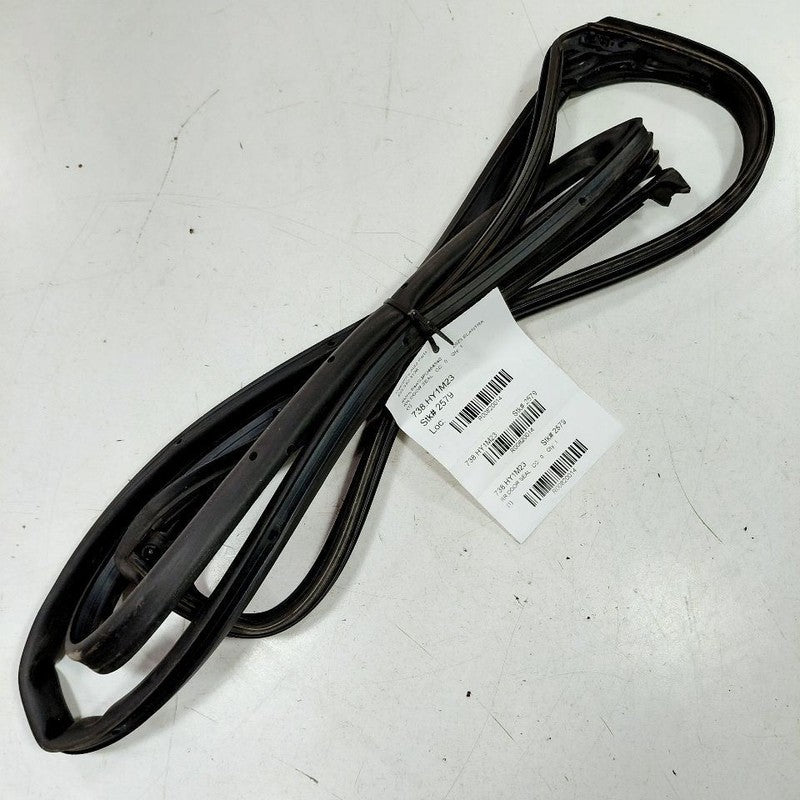 Hyundai Elantra On Door Seal Rubber Right Passenger Rear Back  2024 20