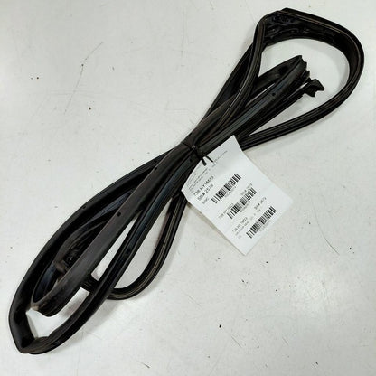 Hyundai Elantra On Door Seal Rubber Right Passenger Rear Back  2024 20