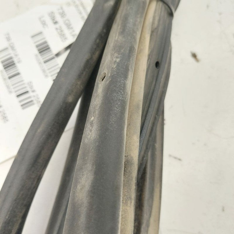 Chevy Volt On Door Seal Rubber Left Driver Rear Back  2019 2018 2017 2