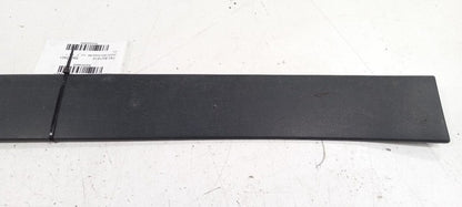 Subaru Tribeca Door Molding Trim Strip Right Passenger Side Rear Back 