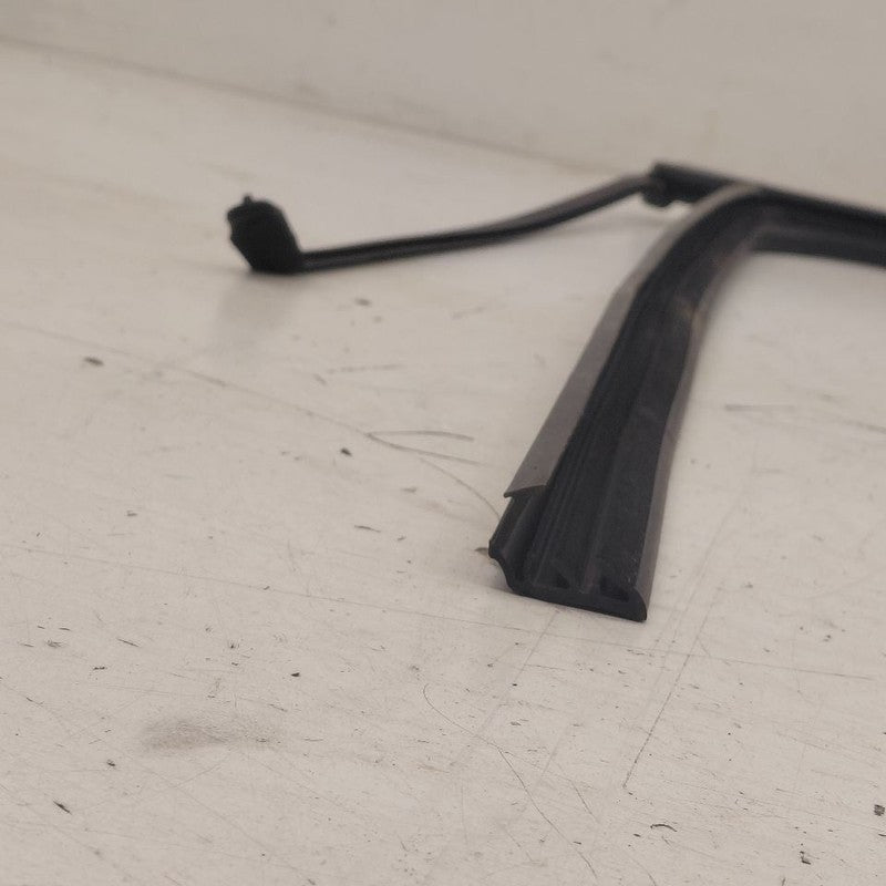 Kia Sorento Door Glass Window Seal Rubber Left Driver Rear Back  2018 