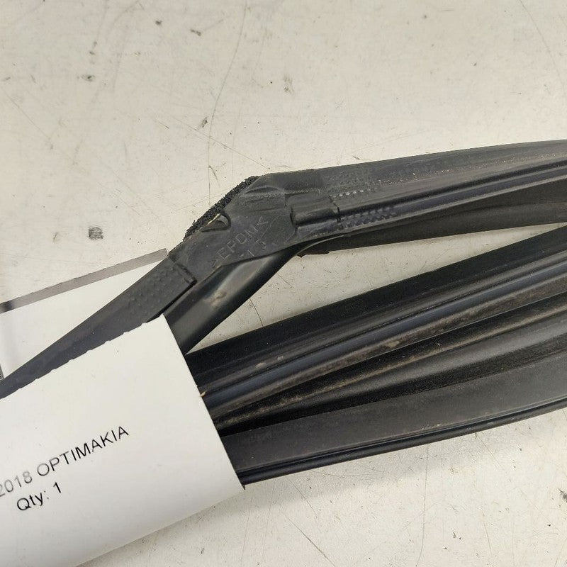 Kia Optima Door Glass Window Seal Rubber Left Driver Rear Back  2018 2
