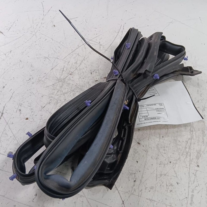 Ford Taurus On Door Seal Rubber Right Passenger Rear Back  2019 2018 2