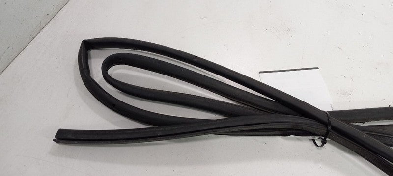 Volkswagen Rabbit On Door Seal Rubber Right Passenger Front 2006 2007 