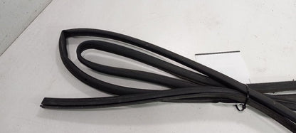 Volkswagen Rabbit On Door Seal Rubber Right Passenger Front 2006 2007 