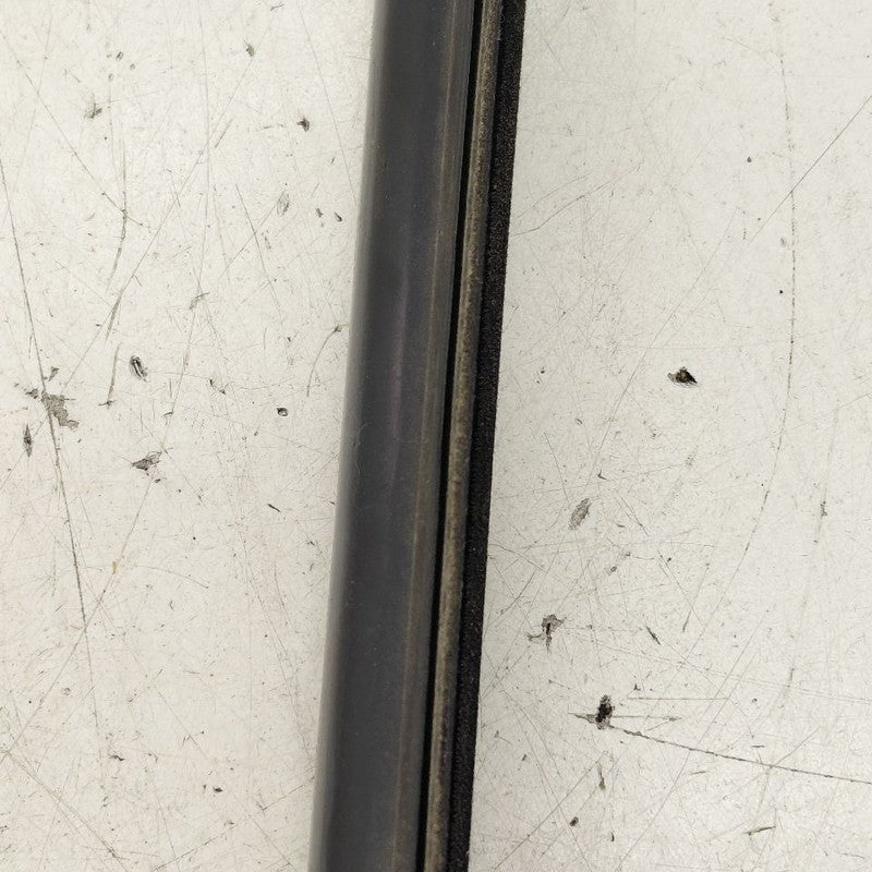 Nissan Versa Note Door Glass Window Weather Strip Trim Rear Right Pass