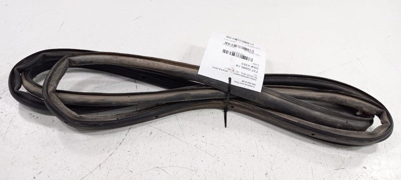Chevy Equinox On Door Seal Rubber Right Passenger Front 2015 2014 2013 2012