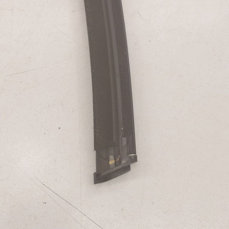 Buick Encore GX Door Glass Window Weather Strip Trim Rear Left Driver 