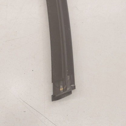 Buick Encore GX Door Glass Window Weather Strip Trim Rear Left Driver 