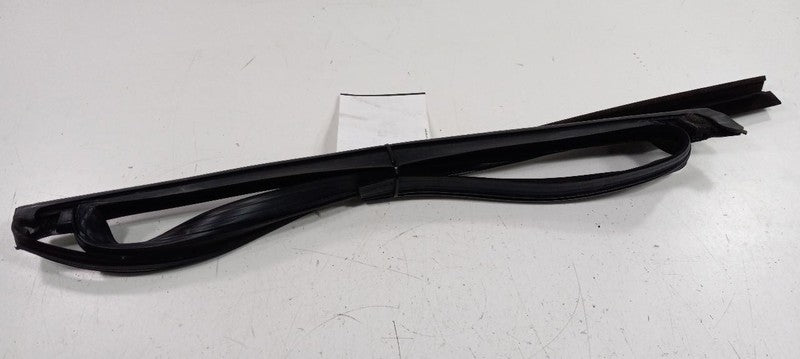 Ford Focus Door Glass Window Seal Rubber Right Passenger Rear Back 201