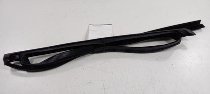 Ford Focus Door Glass Window Seal Rubber Right Passenger Rear Back 201