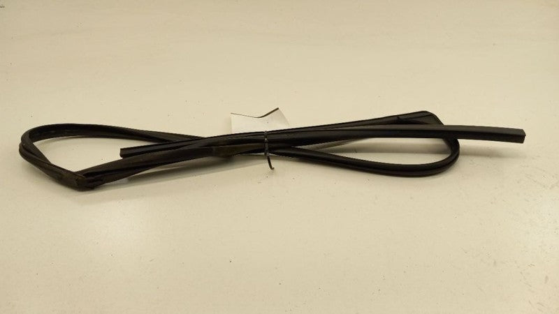 Chevy Traverse Door Glass Window Seal Rubber Left Driver Front 2009 2010 2011 20
