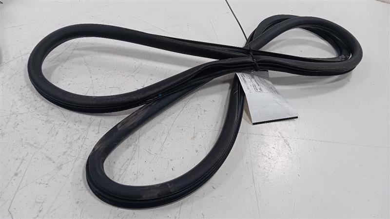 Dodge Dart On Body Door Jamb Seal Front Right Passenger  2013 2014 2015 2016