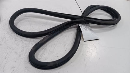 Dodge Dart On Body Door Jamb Seal Front Right Passenger  2013 2014 2015 2016