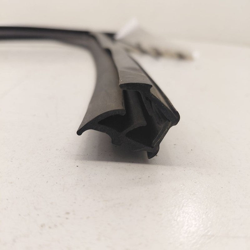 Chevy Volt Door Glass Window Seal Rubber Left Driver Front  2016 2017 