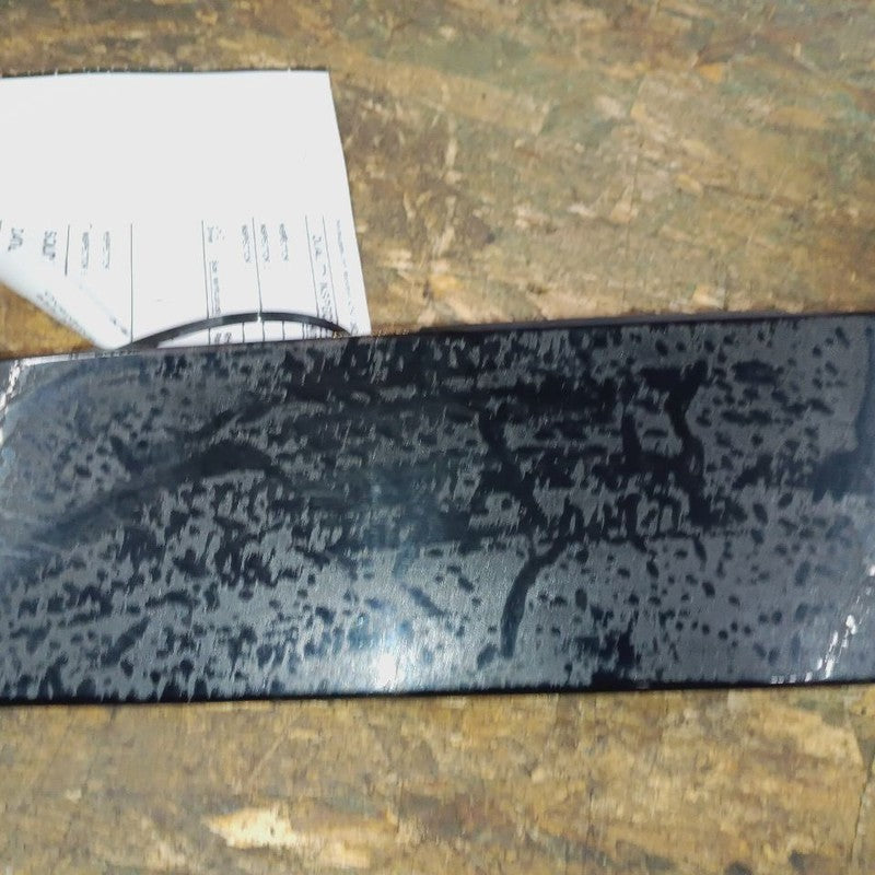 Ford Edge Passenger Right Front Door Applique {FT4BR20898AH} 2019 2020