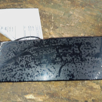 Ford Edge Passenger Right Front Door Applique {FT4BR20898AH} 2019 2020