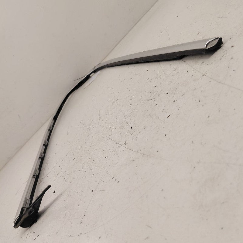 Alfa Romeo Stelvio Door Glass Window Weather Strip Trim Rear Left Driv