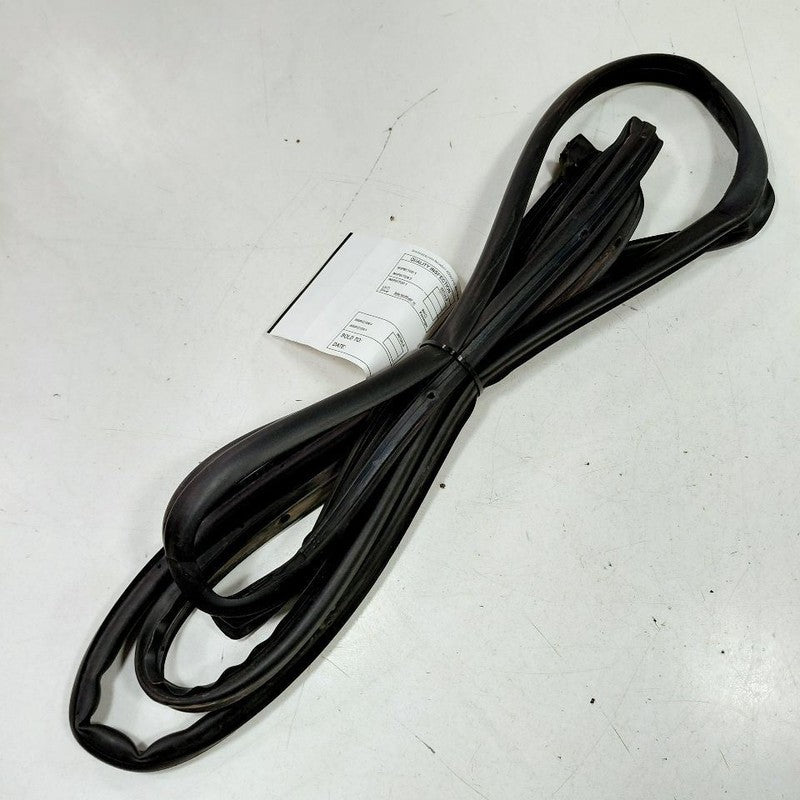 Hyundai Elantra On Door Seal Rubber Right Passenger Rear Back  2024 20